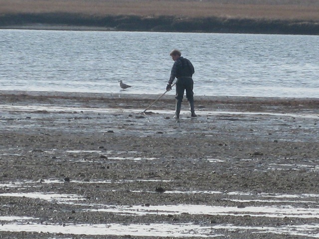 Clamming Gerard Drive